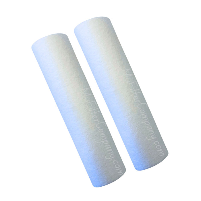 Campbell SED-P10 Cartridge Filter 2-Pack