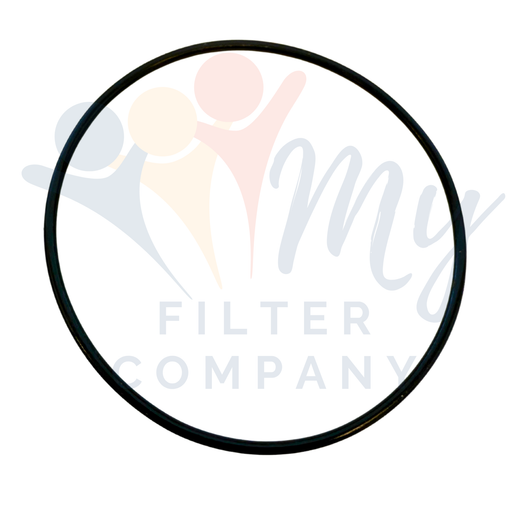 Pentek W10-OR O Ring at MyFilterCompany.com