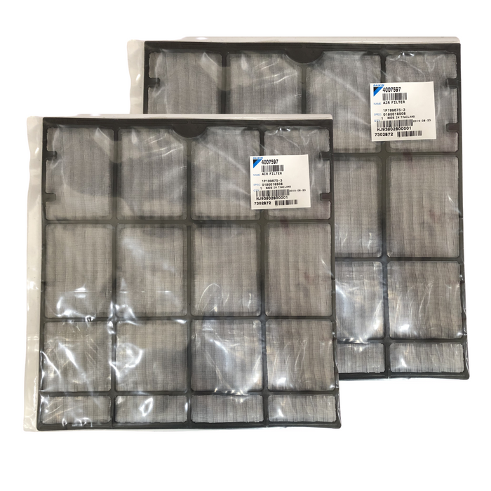 Daikin 4007597 Mini Split Filter 2-Pack