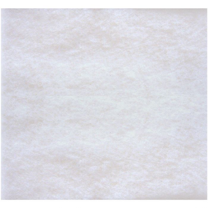 Abatement Technologies H2001 First Stage Poly Pad Filter 50-Pack